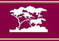 Firmen Logo